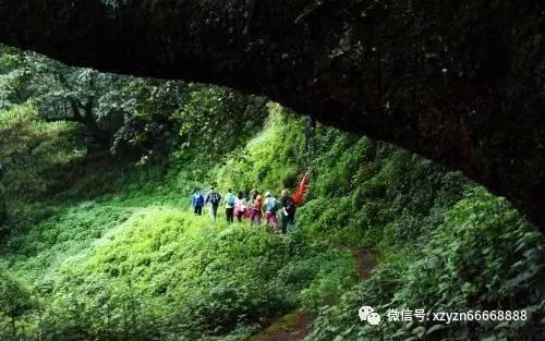 使命召唤15